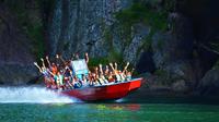 Suva Shore Excursion: Fiji Rivers Jet Boating Adventure with lunch
