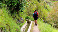 Facile Madeira Levada Walk - Marocos