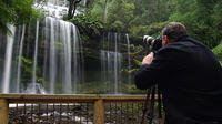 Mt Field and Styx Valley Photography Tour