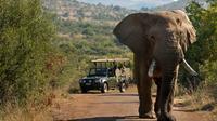 Pilanesberg Safari in Open Vehicle from Johannesburg or Pretoria