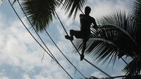 Full-Day Mah Meri Cultural Village Tour with Coconut Wine and Home Cooked Lunch