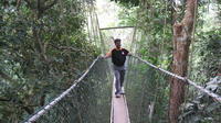 Full Day Taman Negara Tour from Kuala Lumpur