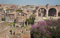 Visite privée: le Mont Palatin de Rome, la Domus Augustana Incluant