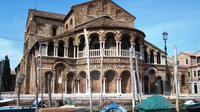 Half-Day Motorboat Cruise to Venice Lagoon Islands Murano and Burano