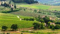 Private Tour: Chianti Region Round Trip Experience from Florence