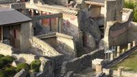 Private Tour: Half Day Round Trip to Herculaneum from Naples
