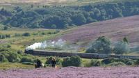 Steam Trains, Whitby and the North York Moors Full-Day Tour from York