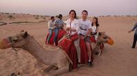 Private Full-Day City Tour of Jaisalmer Including Camel Ride with Dinner and Folk Dance