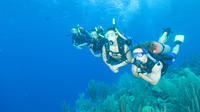 Beginners PADI Scuba Diving in Murcia