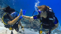 2 dives from a comfy boat for Certified Divers