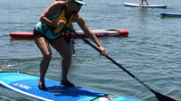 Port Adelaide Dolphin Sanctuary and Ships Graveyard Stand Up Paddle Board Tour image 1 Port Adelaide Dolphin Sanctuary and Ships Graveyard Stand Up Paddle Board Tour image 1