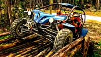 Jungle Buggy Tour from Playa del Carmen