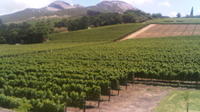 Private Tour: The Cape Winelands, Stellenbosch and Franschhoek from Cape Town 