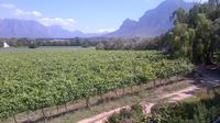 Wine Safari and Franschhoek Motor Museum Experience Guided Private Shore Excursion from Cape Town
