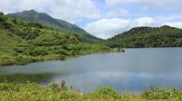 Dominica Half-Day Tour: Freshwater Lake, Middleham Falls, Ti Kwen Glo Sho 