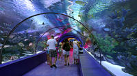 Antalya city tour with Duden Waterfall and Antalya Aquarium visit