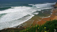 8 Days and 7 Nights at Surf Family in Ericeira from Lisbon
