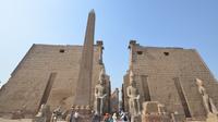 Private Guided Day Trip to Luxor from Cairo by Plane