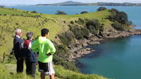 Maori Walking Tour avec dégustation de vin sur l'île de Waiheke