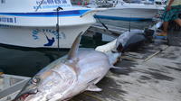 Private Full-Day Big Game Fishing