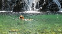 Serra de Arga Waterfalls and Lagoons Tour with Picnic and Drinks