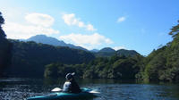 Kayaking the Anbo River in Yakushima