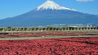 Mt Fuji Private One-Day Tour by Chartered Vehicle from Tokyo