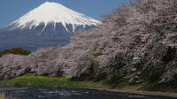 Custom Tour privée de Tokyo, Mt Fuji, Kyoto et Osaka par véhicule agréé