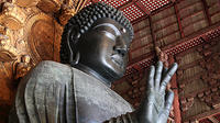 Nara privé personnalisé Full-Day Tour d'Osaka par véhicule agréé