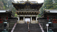 Private Nikko Custom Tour from Tokyo by Chartered Vehicle 