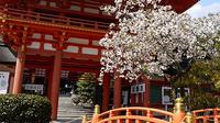 Saisonale Tour: Kyoto Kirschblüten-Tour mit dem Bus Saisonale Tour: Kyoto Kirschblüten-Tour mit dem Bus