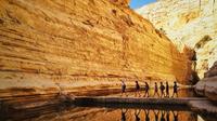 Private Tour: Highlights of the Negev from Tel-Aviv