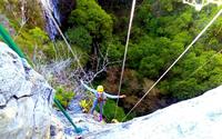 Sima de las Cotorras and El Aguacero Rappelling Adventure 