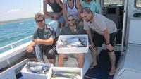 Offshore Reef or Sport Fishing Charter from Cronulla