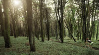 Sintra Private Bike Tour