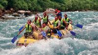 Rafting on the Tara River Full Day Experience from Dubrovnik