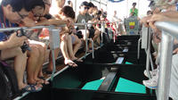 Glass Bottom Boat Tour from Hurghada