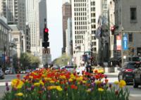 Stadtrundgang durch Chicago Stadtrundgang durch Chicago