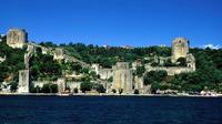 Istanbul Bosphorus Cruise and Sightseeing Tour