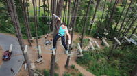 Adrenalin Forest Obstacle Course in the Bay of Plenty