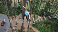 Adrenalin Forest Obstacle Course in Wellington