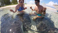 Combo Stingray Feeding and Multi-Reef Snorkel Tour