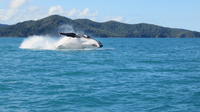 Morning or Afternoon Whitsundays Whale Watching Cruise from Airlie Beach Including Snorkeling