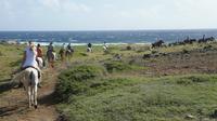 Aruba Horseback Riding Tour to Hidden Lagoon image 1 Aruba Horseback Riding Tour to Hidden Lagoon image 1