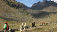 Lares Trek to Machu Picchu in 4 Days