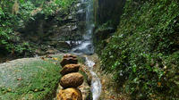 Excursión de senderismo por el Bosque de Tijuca, incluidas las cataratas Excursión de senderismo por el Bosque de Tijuca, incluidas las cataratas
