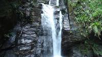 Horto Waterfalls Circuit Adventure Tour in Tijuca National Park