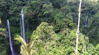 Private Tour: Jatiluwih Rice Terrace and Munduk Waterfalls Tour