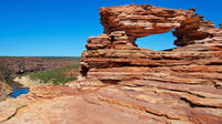 5-Night Perth to Exmouth Tour Including The Pinnacles, Monkey Mia and Ningaloo Reef