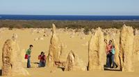 Pinnacles Day Trip from Perth Including Caversham Wildlife Park and Lancelin Dunes Sandboarding